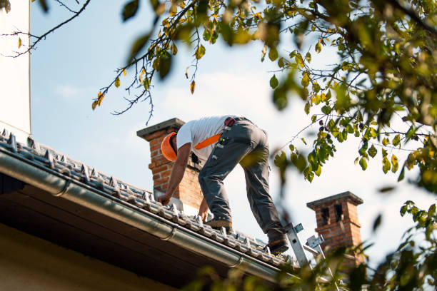 Best Roofing Contractor Near Me  in Petersburg, MI