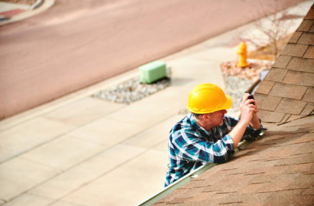 Best Roof Maintenance Services  in Petersburg, MI