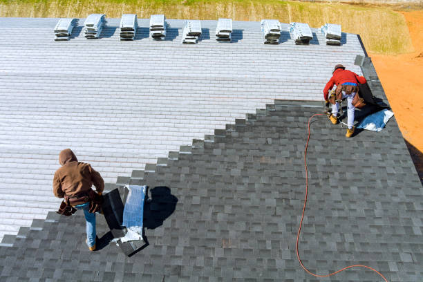 Best Metal Roofing Contractor  in Petersburg, MI