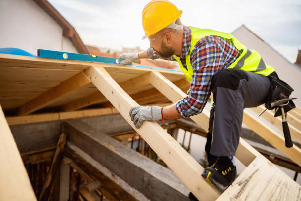 Best Roof Gutter Cleaning  in Petersburg, MI