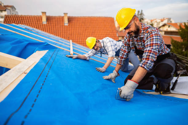 Best Storm Damage Roof Repair  in Petersburg, MI