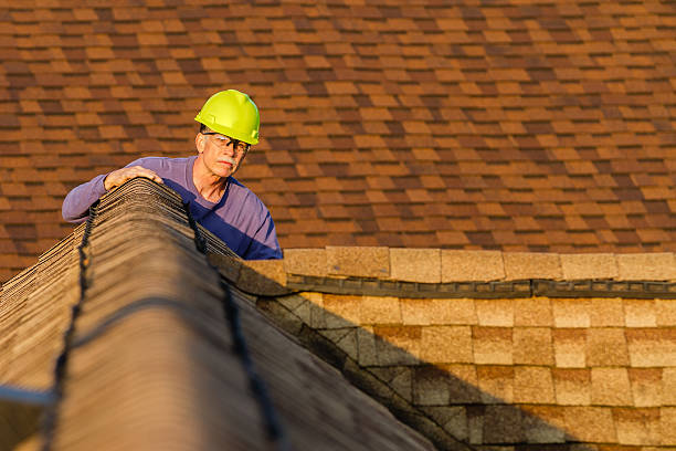 Best Best Roofing Contractors  in Petersburg, MI