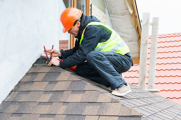 Best Flat Roof Repair Services  in Petersburg, MI